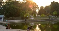 Letter: Hoyt Lake could use some water plants