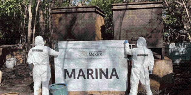 Desmantelan en Nayarit laboratorio clandestino; decomisan 13 toneladas de metanfetamina