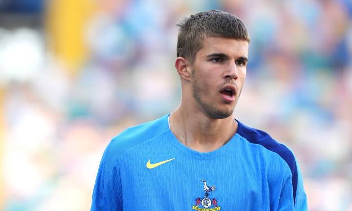 Tottenham defender Luka Vuskovic completes Hamburg loan move