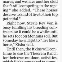 Montana landowners purchase high-end cutting horse, sire reportedly sold for $14 million