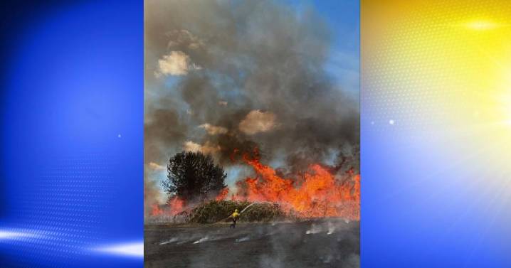 Lane County fire crews battle multiple blazes in one day