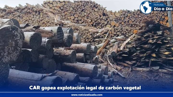 CAR: Otro golpe contra la producción ilegal de carbón vegetal en Tausa, Cundinamarca