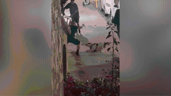 Suspect caught on video stabbing pitbull multiple times in Long Beach