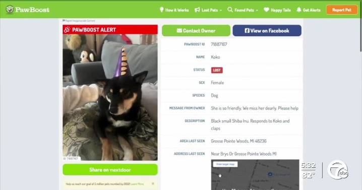 Scammers demanding ransom for lost dogs by impersonating animal shelters