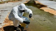 NL suma 200 denuncias por delitos ambientales: Medio Ambiente