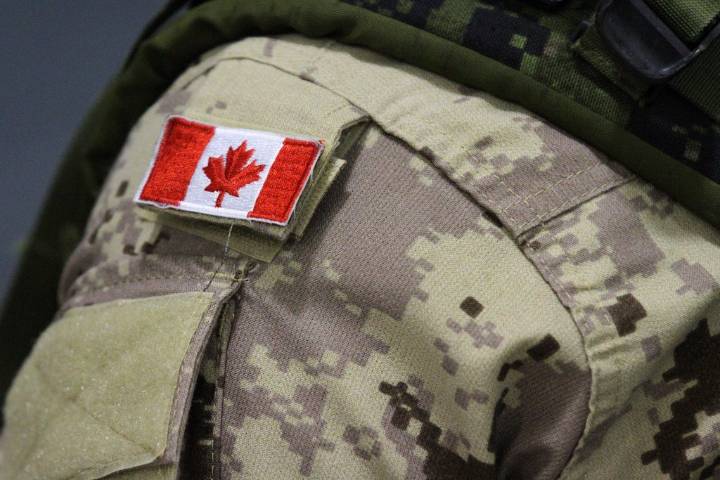 Quebec-based Canadian soldiers suspended after 2023 video that shows others making Nazi salute