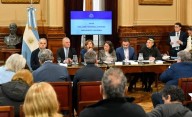 Senado: la oposición logró dictaminar la emergencia en Pediatría y pone contra las cuerdas al Gobierno