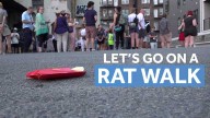 Rat City Arts Festival is set to bring back neighborhood 'Rat Walk'