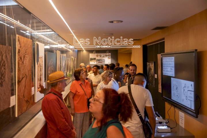 Casas de Garcimolina sorprende a la paleontología española con un yacimiento único