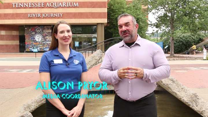 Life Support Tech keeps Your Favorite Aquarium Up and Running