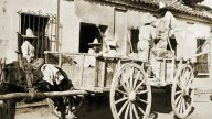 Fiebre amarilla originó uso de mosquiteros en Sonora