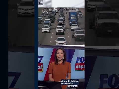 🚗Los peores momentos para viajar durante el fin de semana del Día del Trabajo⛔️