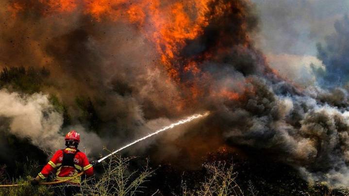 Investigan en Francia origen de inédito fuego forestal