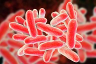 Sixth person dies in Harlem Legionnaires' outbreak: NYC health department