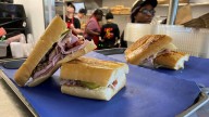 Florida DOGE; bear hunt application; DeSantis Cuban sandwich