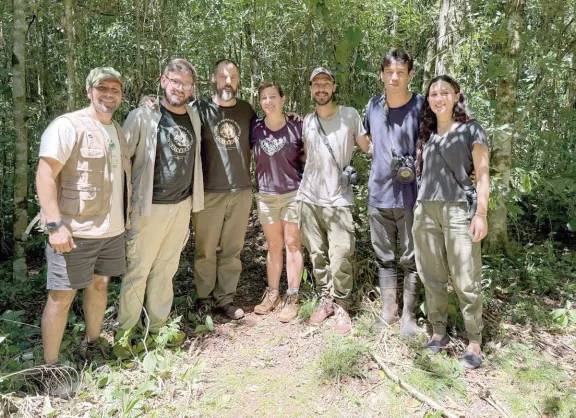 Buscan evitar la extinción del mono aullador rojo y planean reintroducción
