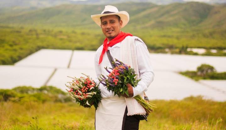Florius, la empresa que lleva flores colombianas a Estados Unidos y otros países