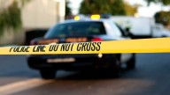 Hernando County driver took out anger with mom by hitting random man, cops say
