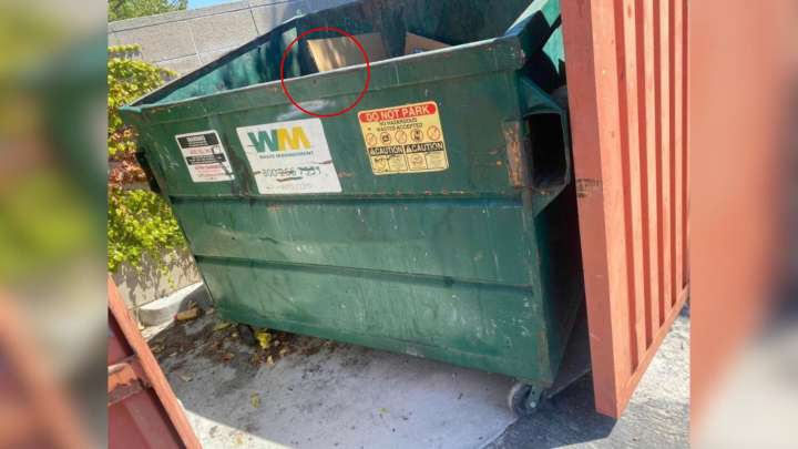 Cries From A California Dumpster Led To A Discovery That Shook One Man’s Heart