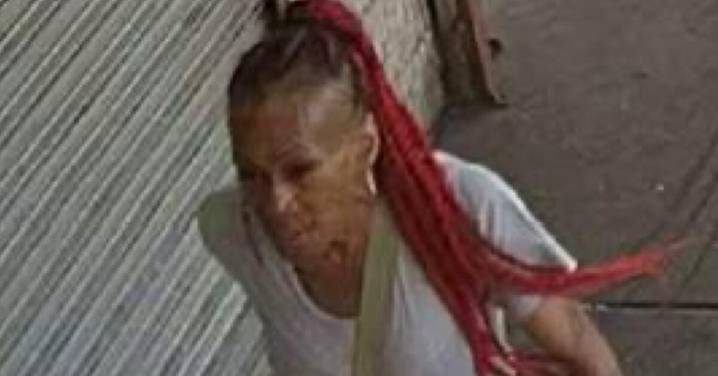 Have You Seen Newark Central Ward Stabbing Suspect ‘Shakira’