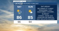 A Summery Weekend