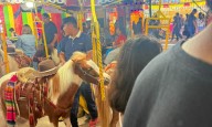 Denuncian maltrato animal en la Fenapo