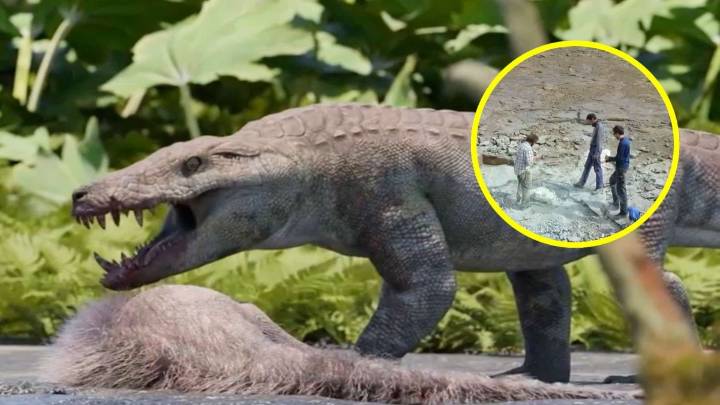El "cocodrilo gigante" de la Patagonia: Inusual hallazgo arqueológico revela a voraz depredador que habitó América