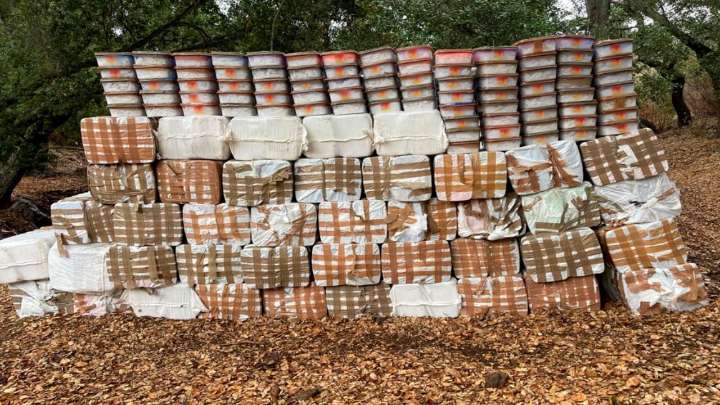 Incautan al sur de Ensenada más de 3 toneladas de droga
