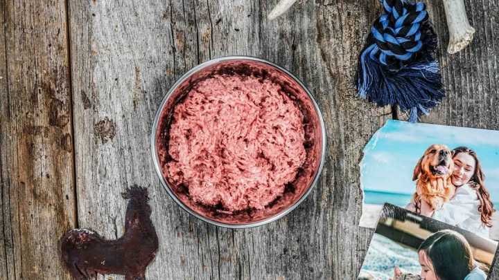 La dieta de carne cruda para perros, bajo escrutinio tras una grave infección de un niño