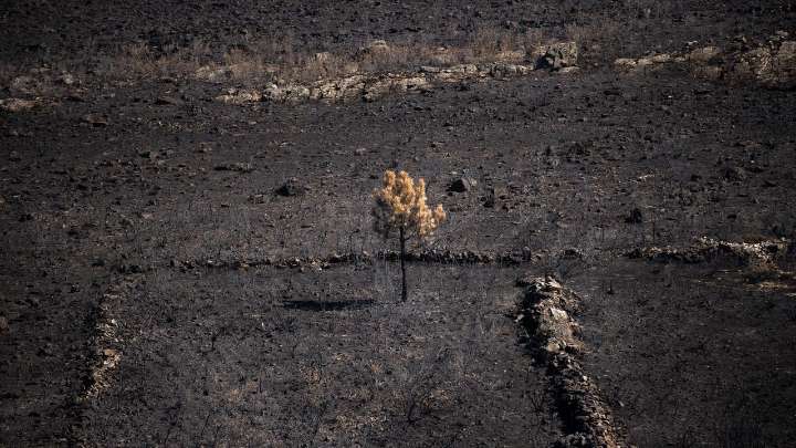 La Junta reduce el Índice de Gravedad Potencial del incendio de Puercas (Zamora) al nivel uno y el de La Sagrada (Salamanca) al cero