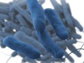 Legionnaires’ disease outbreak kills 5, leaves more than dozen hospitalized