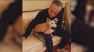 Bam Bam the support dog reunited with owner 2+ months after being stolen from Chicago backyard
