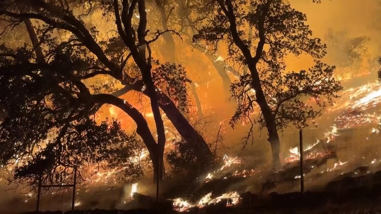 Firefighters battle growing wildfires in California as flames threaten forests and homes