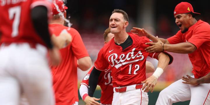 Austin Hays' RBI single helps Reds snap Brewers' winning streak