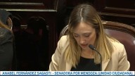 Furcio viral de Fernández Sagasti: "El Interbloque de Unión por la Plata se va a abstener..."