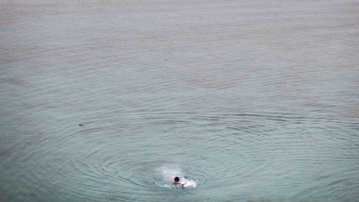 Shark attacks American in Bahamas: 'Severe injuries'