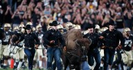 Colorado’s Ralphie VI retires from field, won’t appear at Georgia Tech game