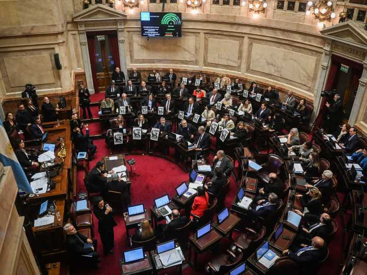 Sesión especial en el Senado, EN VIVO: el Gobierno enfrenta otra batalla por el financiamiento universitario, el Garrahan y los decretos delegados