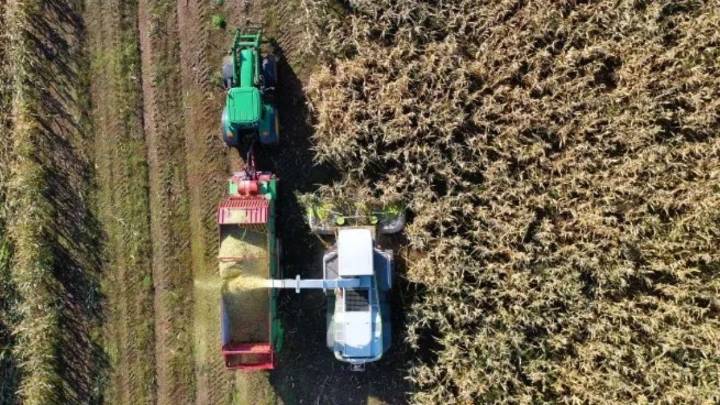Donald Trump impulsa la producción de soja en EEUU y le pone presión a las exportaciones argentinas