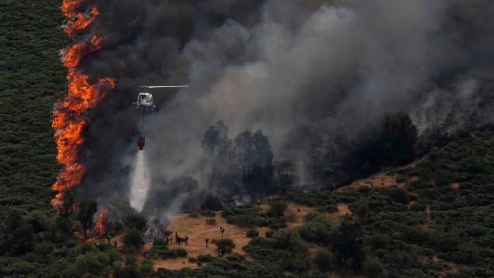 Incendio de Jarilla, en directo | Guardiola: "Confiamos en que el fuego se pueda dar hoy por consolidado"