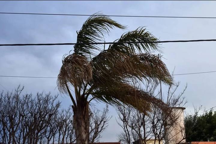 Amplían el alerta amarilla por vientos fuertes para gran parte de Entre Ríos