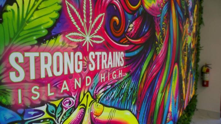 Legal challenges for Brookhaven's only recreational pot shop