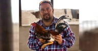 Empresario acusado por presunta violación buscaría salir absuelto con el abogado de Alianza Para el Progreso