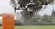 En México, drones fumigan a 10% del campo y DJI quiere ampliar esa cobertura