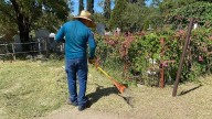 Este miércoles último día para registrarse en programa Empleo Temporal