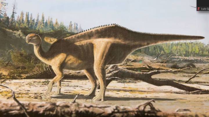 Descubren una nueva especie de dinosaurio con una llamativa vela en la espalda