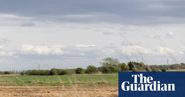 Nature loss will cut UK GDP by 5% without action from private sector, say experts