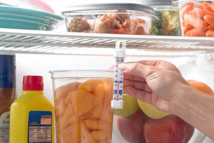 Cómo mantener tu refrigerador libre de bacterias y tus alimentos frescos por más tiempo