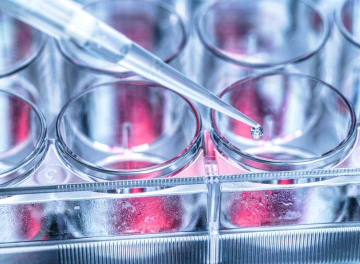 Colorectal Cancer Research 3D Models Optimized