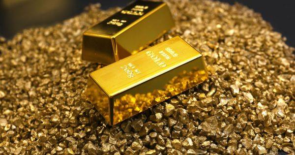 El descubrimiento del siglo: encuentran una "mina de oro" que podría curar enfermedades que estuvo oculta en el lugar más extremo de la Tierra